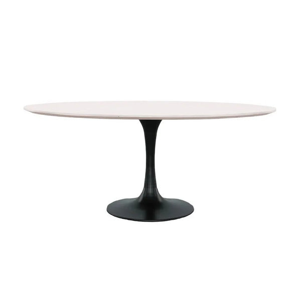 Aspen Oval Dining Table with Metal Base - White Wash